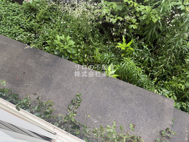 バルコニー　お天気のいい日は外干しもできますね！！