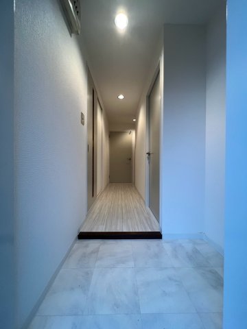 リュミエール鶴田の玄関写真