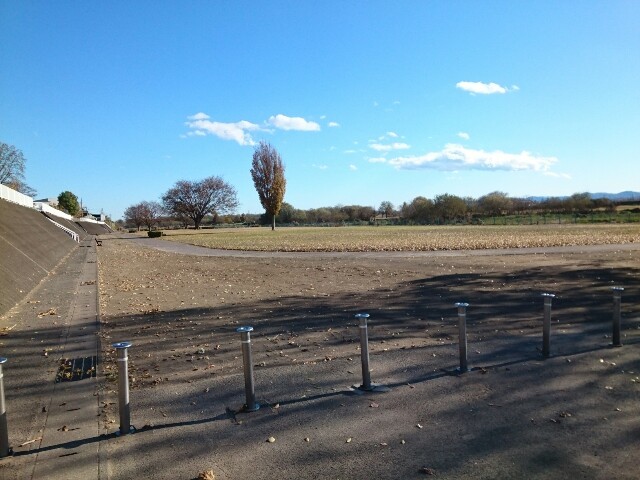 公園　倉賀野緑地河川公園（公園）まで1100m