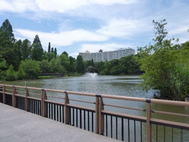 その他　井の頭恩賜公園（その他）まで800m