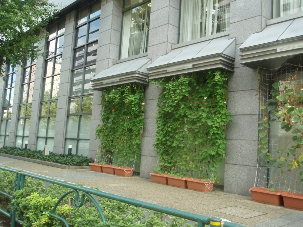 幼稚園・保育園　私立日本興亜スマイルキッズ江戸川橋保育園（幼稚園・保育園）まで395m