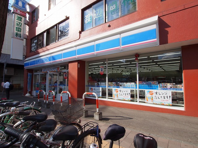 コンビニ　ローソン南平岸駅前店（コンビニ）まで411m