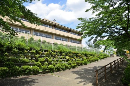 小学校　飯能市立美杉台小学校（小学校）まで1251m