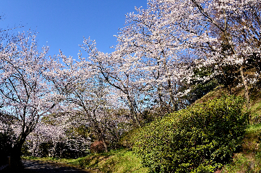 公園　南公園（公園）まで612m