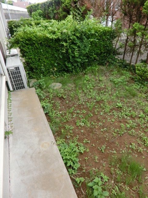 庭　１階は専用庭になっています。