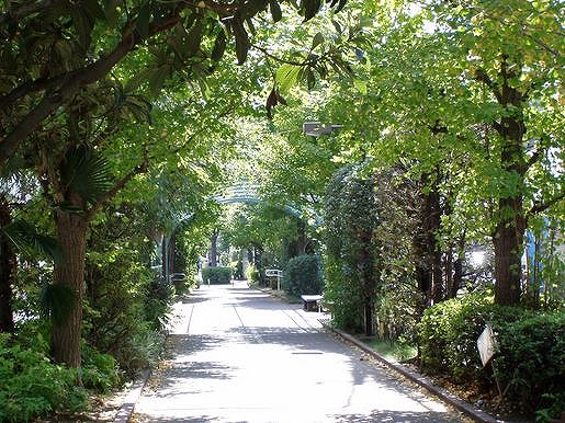 公園　大島緑道公園（公園）まで874m