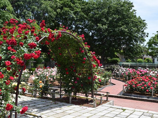 公園　大井戸公園（公園）まで330m