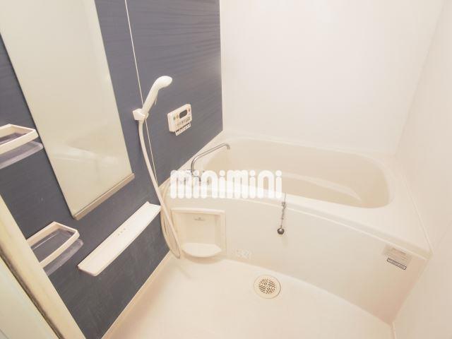 バス・シャワールーム　シックなお部屋です
