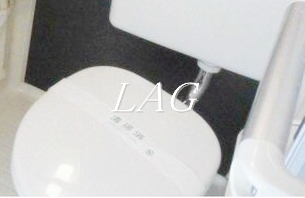ウエストガーデンのトイレ写真