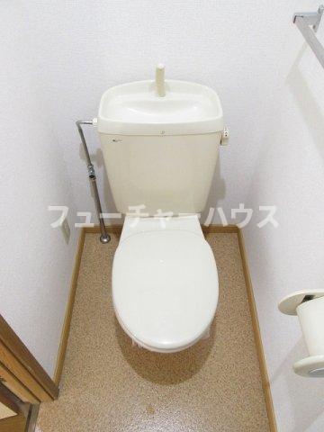 【トゥルスIのトイレ】