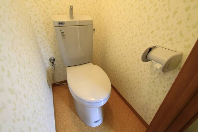 トイレ　２０１号室の写真です