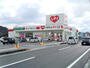 ドラックストア　くすりのレデイ別府店（ドラッグストア）まで500m