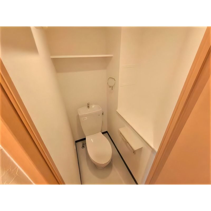 プレサンス大手前パークサイドIIのトイレ写真