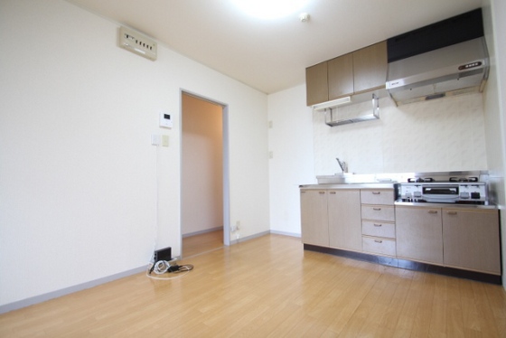 居室・リビング　※別部屋の写真です