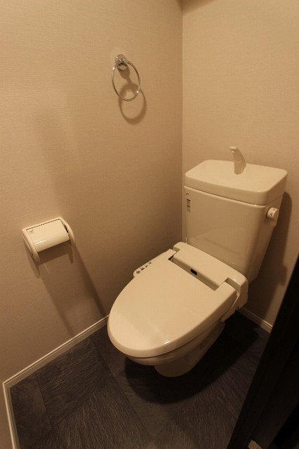 トイレ　同物件他部屋の写真