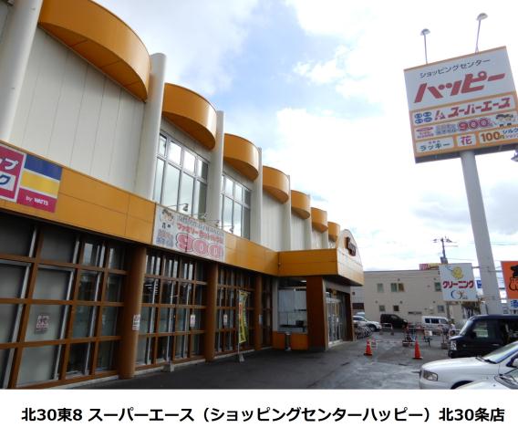 スーパー　スーパーエース３０条店（スーパー）まで613m