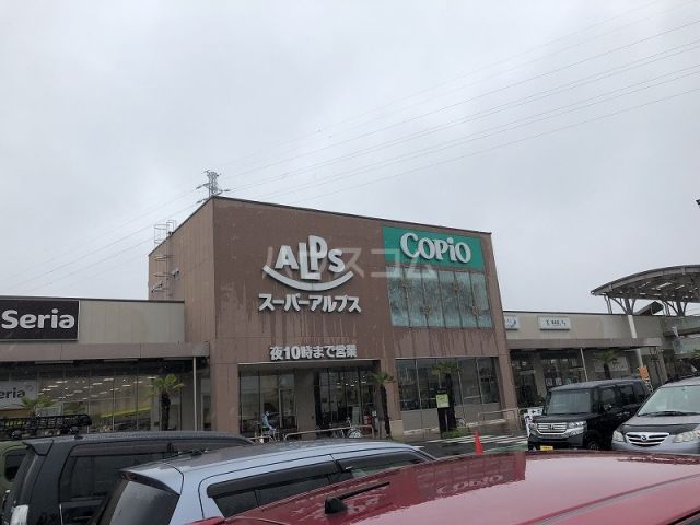 スーパー　スーパーアルプス　相模原インター店（スーパー）まで1317m