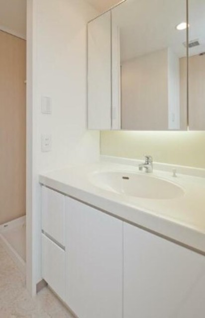 洗面設備　同タイプ参考写真