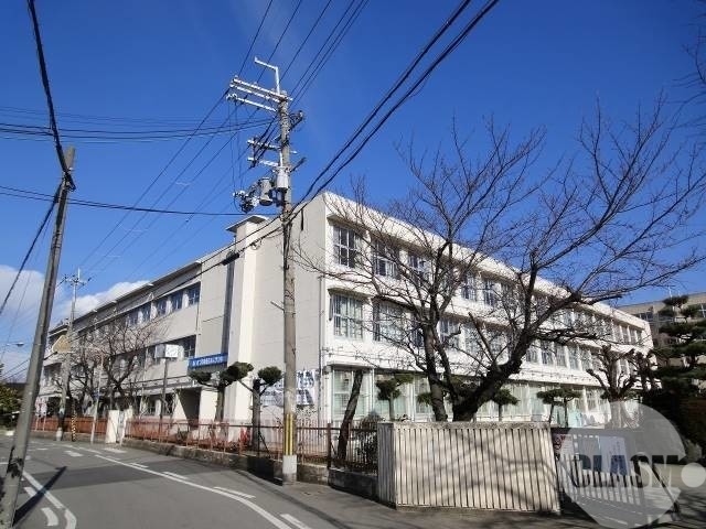 中学校　堺市立三国丘中学校（中学校）まで477m