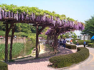 その他　蓮花寺池公園（その他）まで1800m