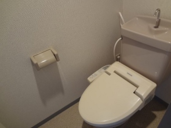 トイレ　※他号室の写真です。