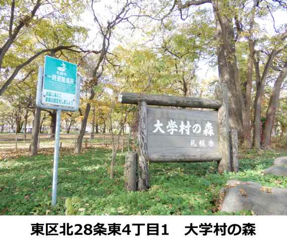 公園　大学村の森（公園）まで144m