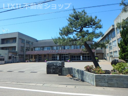 中学校　上越市立直江津中学校（中学校）まで1825m