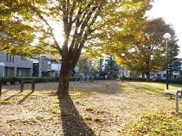 公園　丁張公園（公園）まで267m