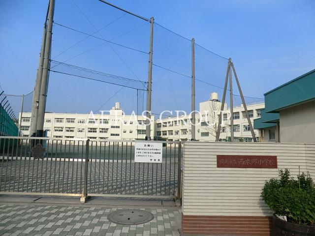 小学校　横浜市立西本郷小学校（小学校）まで300m