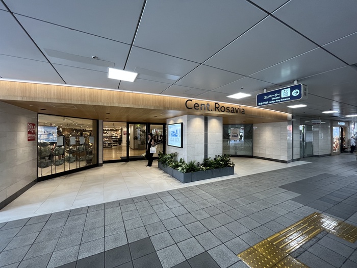 ショッピングセンター　ロサヴィア（ショッピングセンター）まで500m