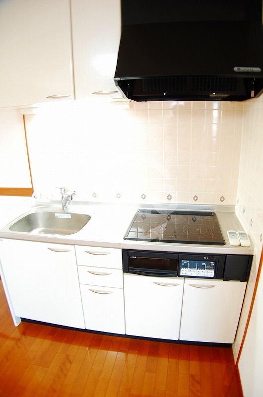 キッチン　樹樹ガーデン　IHシステムキッチン（グリル付き）