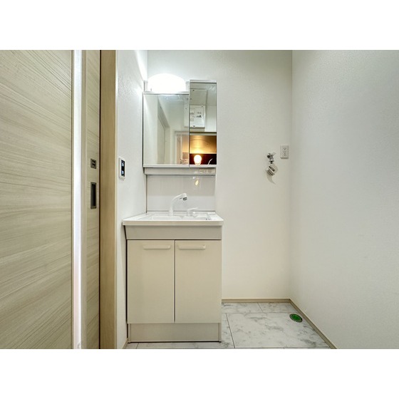 洗面設備　同タイプの部屋の写真です