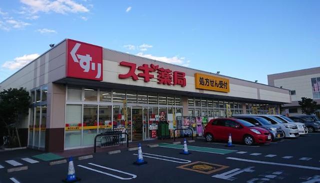 ドラックストア　スギ薬局寒川店（ドラッグストア）まで591m