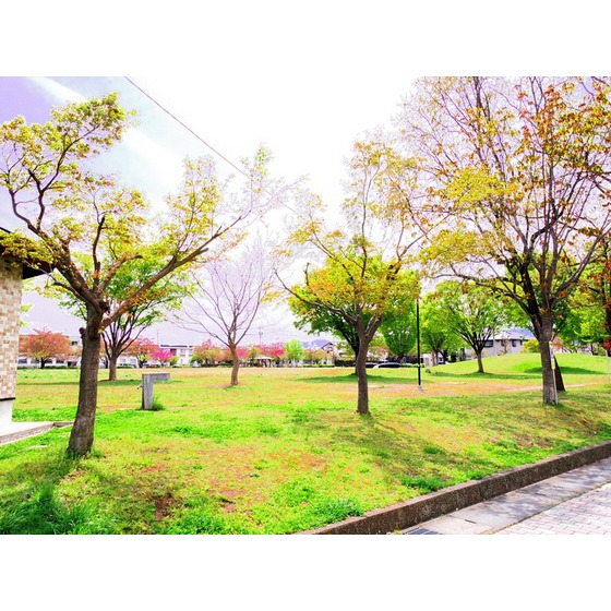 公園　三本柳中央公園（公園）まで377m