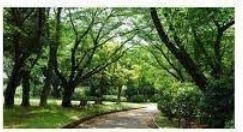 公園　岡村一丁目緑地（公園）まで1532m