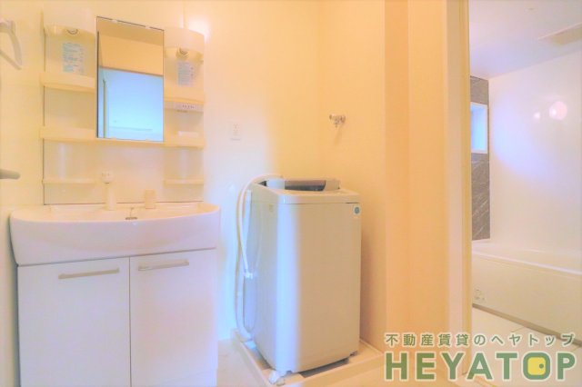 洗面設備　忙しい朝の身支度に便利なシャワー付き洗面化粧台（家電は付きま