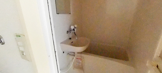 バス・シャワールーム　※別部屋の写真です