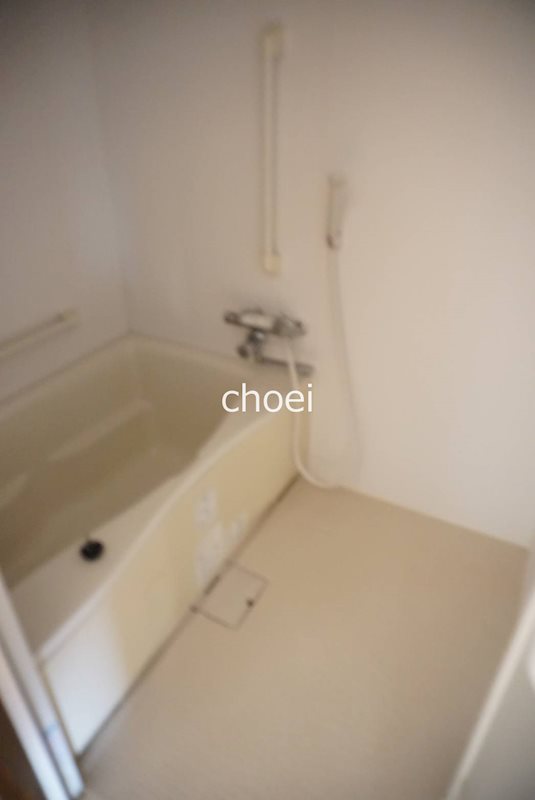 バス・シャワールーム　※同物件別室の写真です