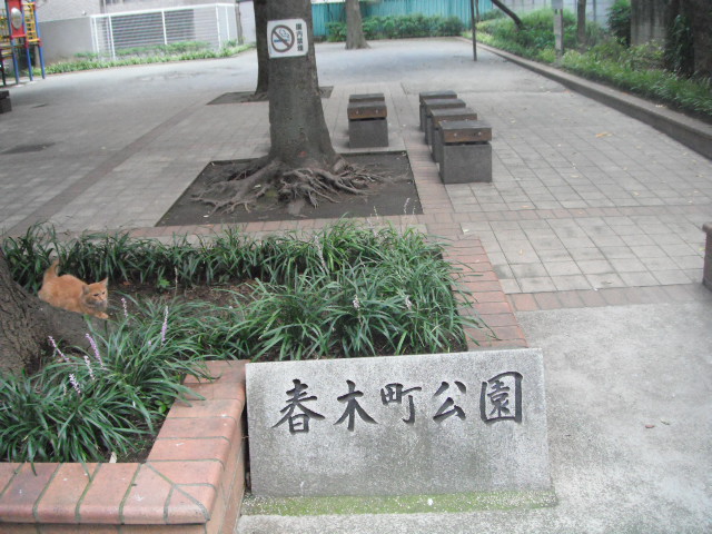 公園　春木町公園（公園）まで180m