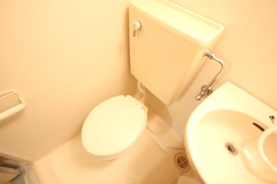 トイレ　※別号室の写真です