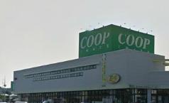 スーパー　いわて生協　ベルフ仙北店（スーパー）まで515m