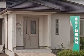 病院　ルルド動物病院（病院）まで416m