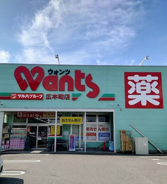 ドラックストア　ウォンツ　広本町店（ドラッグストア）まで1100m