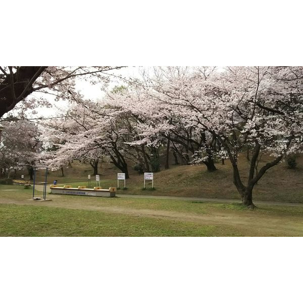 公園　梶ケ谷第一公園（公園）まで718m