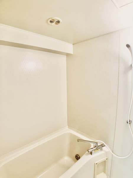 バス・シャワールーム　落ち着いた空間のお風呂です