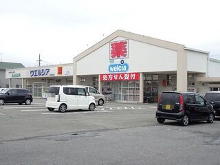 ドラックストア　ウエルシア静岡高松店（ドラッグストア）まで800m