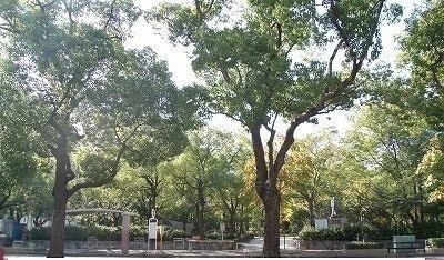 公園　高松中央公園さん（公園）まで2400m