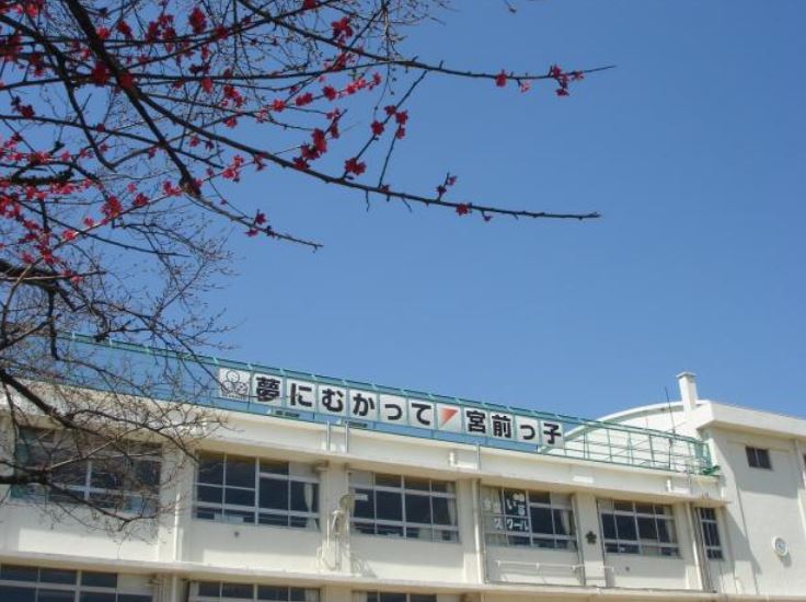 小学校　品川区立宮前小学校（小学校）まで489m