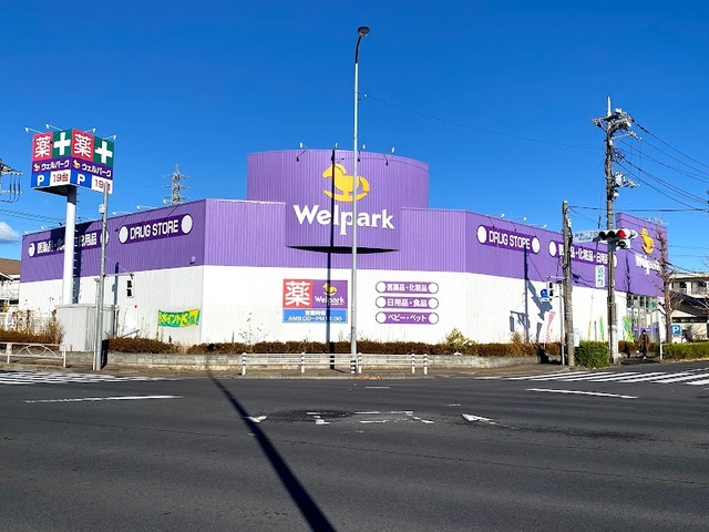ドラックストア　ウェルパーク日野神明店（ドラッグストア）まで313m