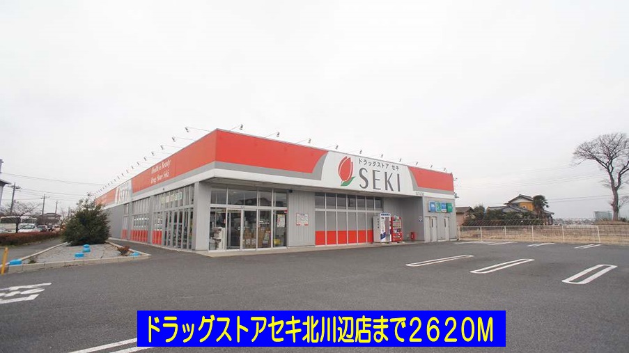 ドラックストア　ドラッグストアセキ北川辺店（ドラッグストア）まで2620m
